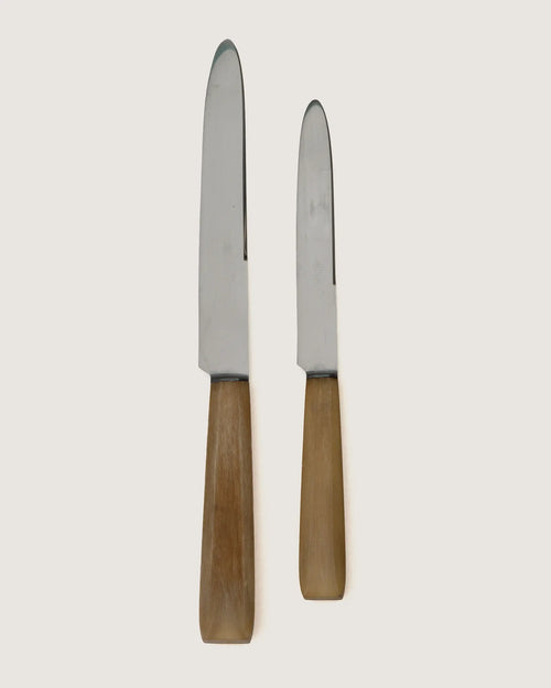 Early 20th-century antique French 16-piece flatware knife set by Inusor Thiers with natural horn handles.