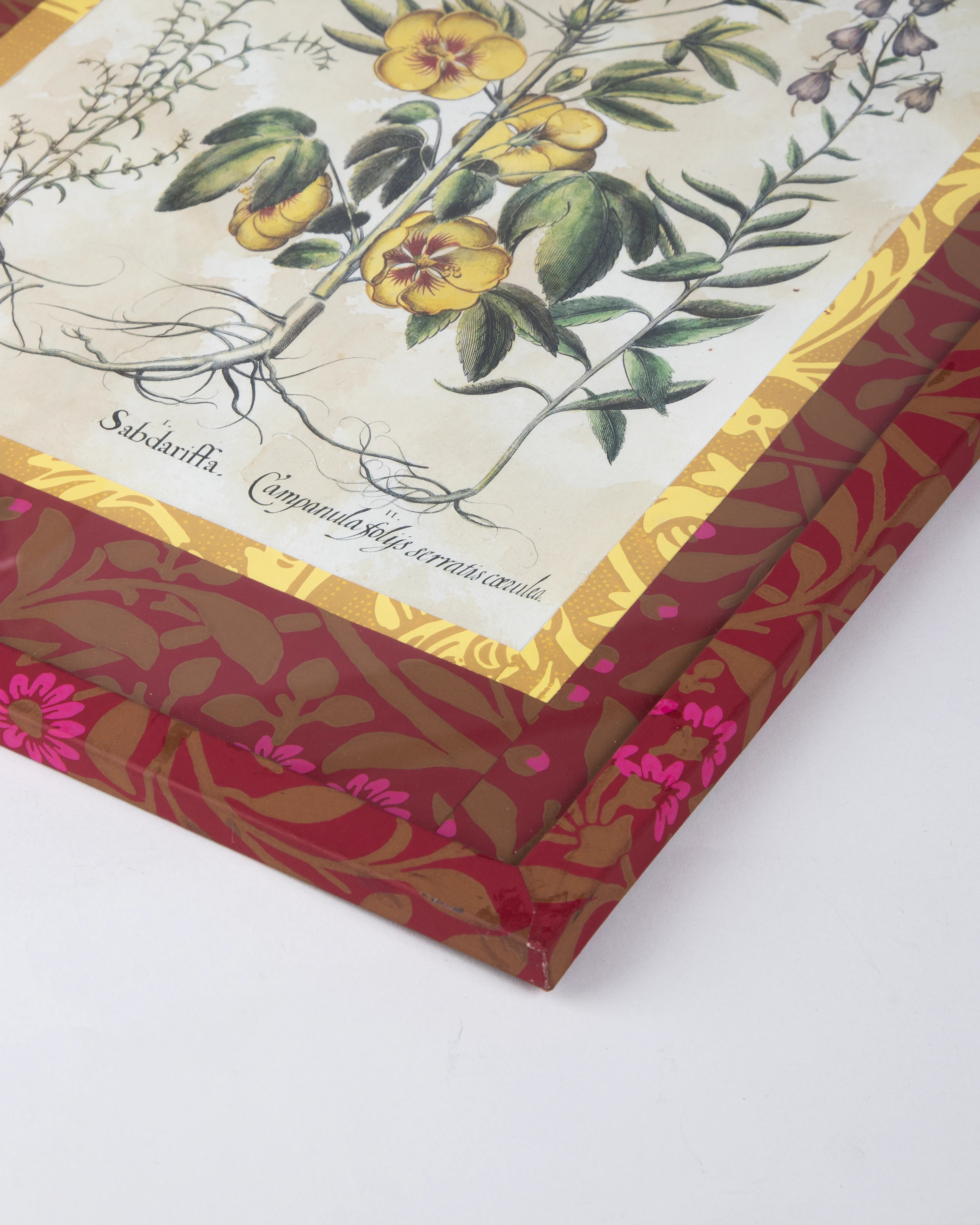 Hand-Aged Besler Sabdariffa Print in Fully Wrapped William Morris Frame