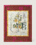 Framed botanical illustration of a Sabdariffa Hibiscus from Besler's 1613 Hortus Eystettensis, inside a gold mount and a frame fully wrapped in bordeaux and fuchsia William Morris wallpaper.