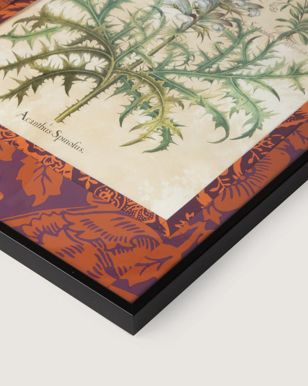 Hand-Aged Acanthus Print with Bespoke William Morris "Fruit" Passepartout