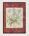 Framed botanical illustration of an Acanthus spinosus plant from Basilius Besler's 1613 Hortus Eystettensis, surrounded by a handmade William Morris Fruit pattern wallpaper passepartout in an aluminum frame.