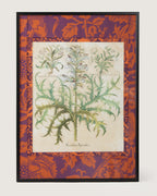 Framed botanical illustration of an Acanthus spinosus plant from Basilius Besler's 1613 Hortus Eystettensis, surrounded by a handmade William Morris Fruit pattern wallpaper passepartout in an aluminum frame.