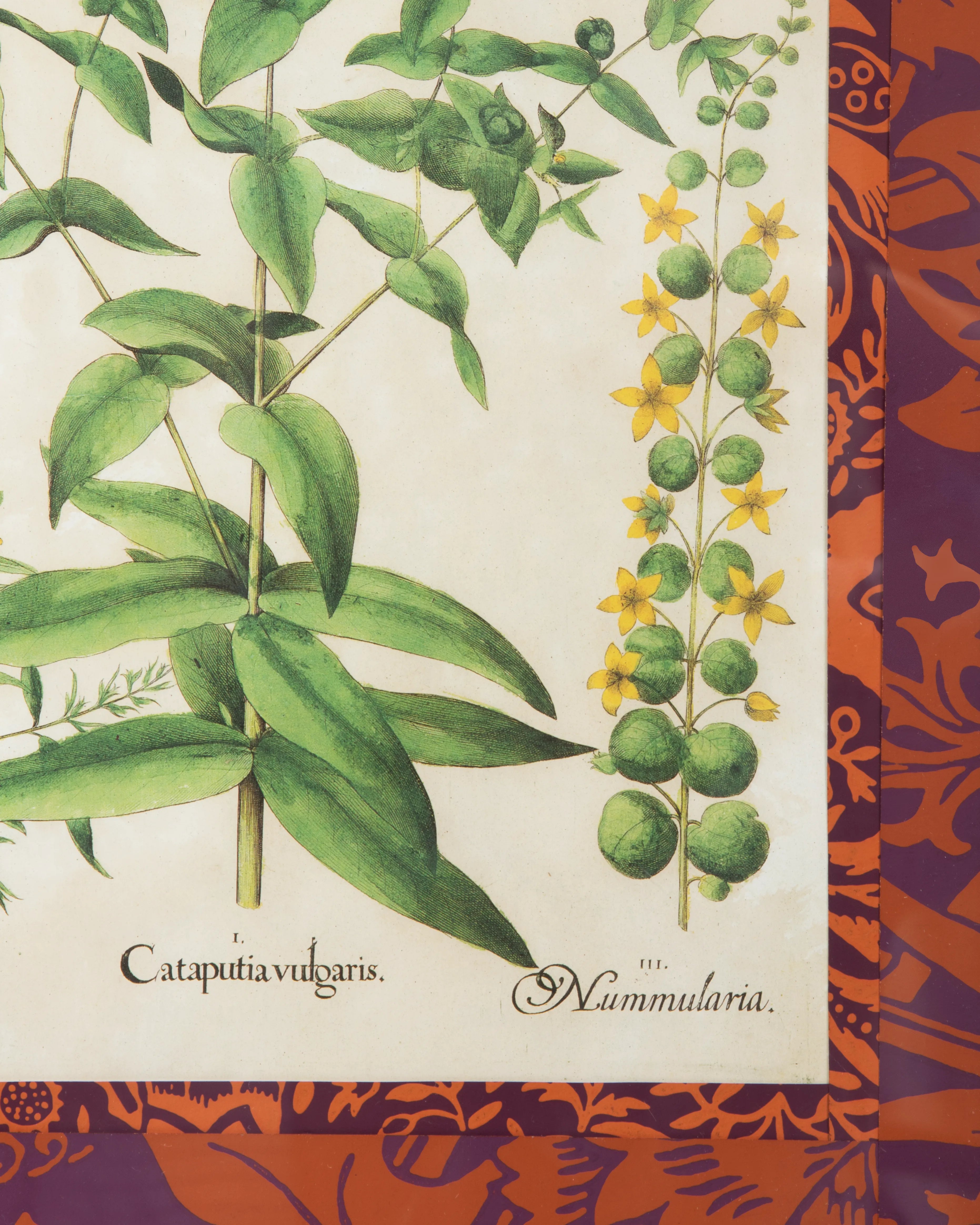 Hand-Aged Privet & Persimmon Print with Bespoke William Morris Passepartout