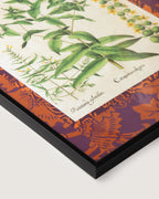 Hand-Aged Cataputia Print with Bespoke William Morris "Fruit" Passepartout