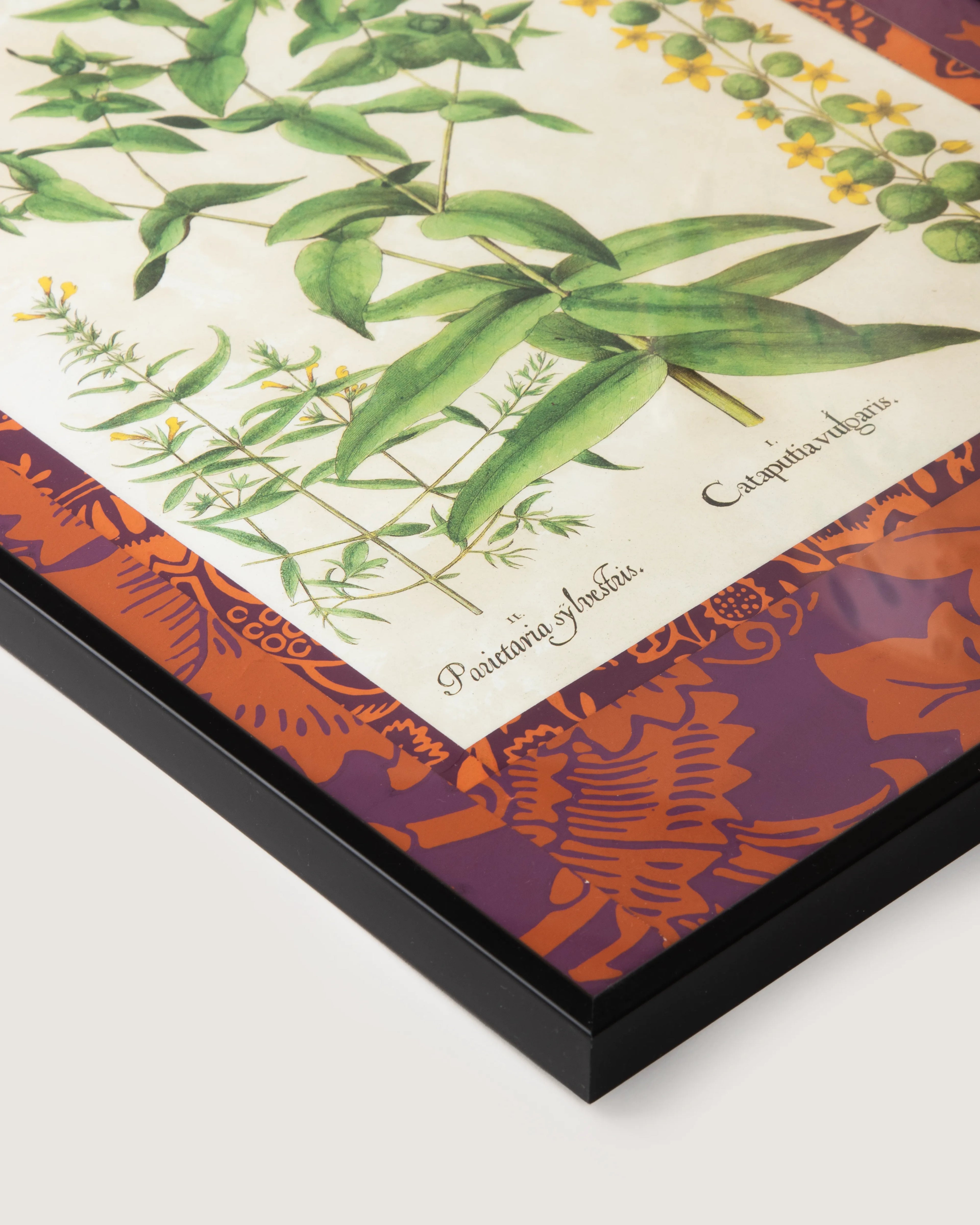 Hand-Aged Privet & Persimmon Print with Bespoke William Morris Passepartout