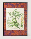 Framed botanical illustration of a Cataputia vulgaris plant from Basilius Besler's 1613 Hortus Eystettensis, surrounded by a handmade William Morris Fruit pattern wallpaper passepartout in an aluminum frame.