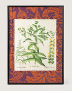 Framed botanical illustration of Ligustrum and Guaiacana plants from Basilius Besler's 1613 Hortus Eystettensis, surrounded by a handmade William Morris Fruit pattern wallpaper passepartout in an aluminum frame.