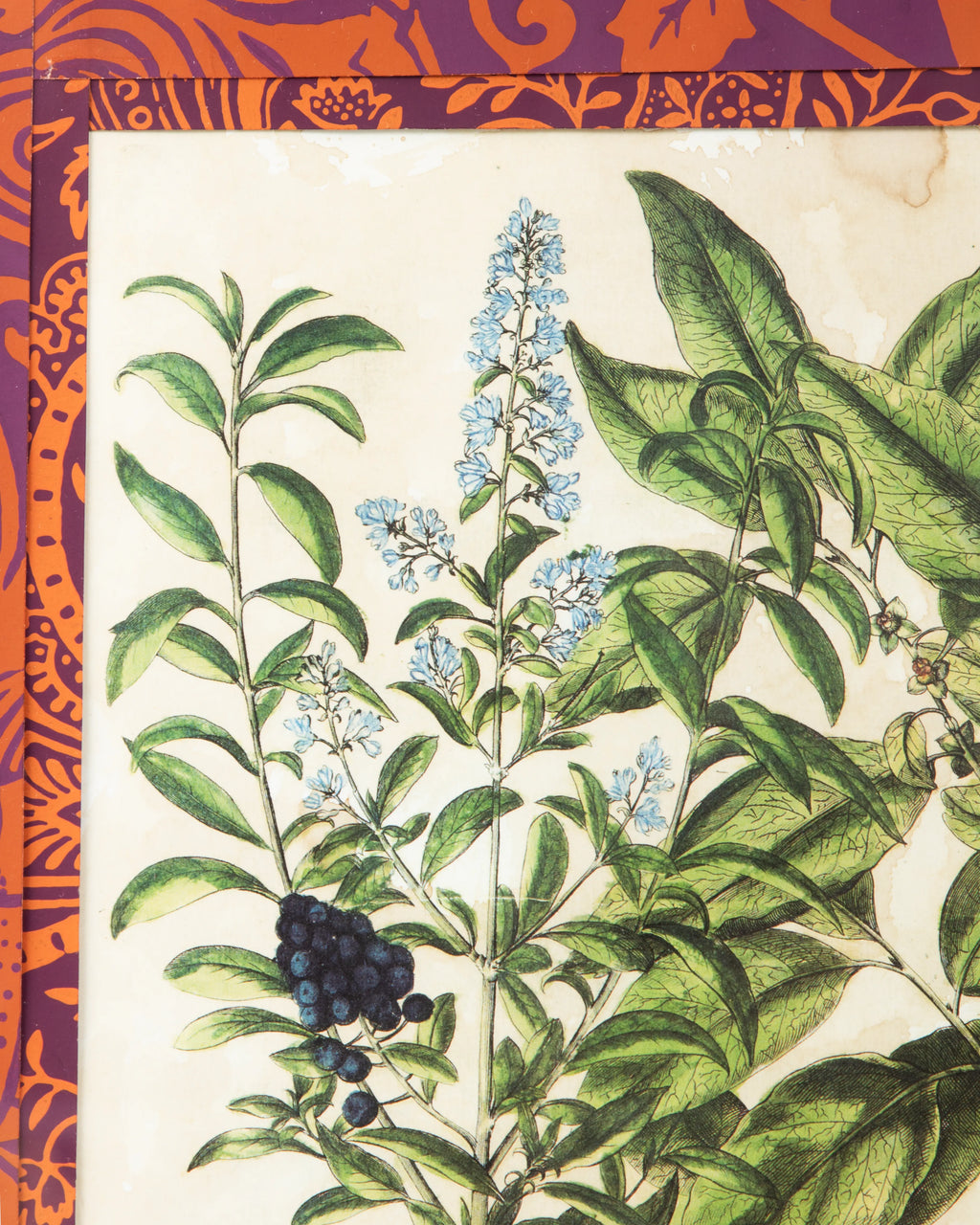 Hand-Aged Privet & Persimmon Print with Bespoke William Morris Passepartout