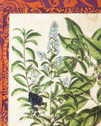 Hand-Aged Privet & Persimmon Print with Bespoke William Morris Passepartout