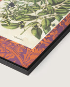 Hand-Aged Privet & Persimmon Print with Bespoke William Morris Passepartout