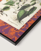 Hand-Aged Botanical Print with Bespoke William Morris "Fruit" Passepartout