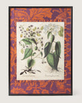 Framed botanical illustration of Lunaria plants from Basilius Besler's 1613 Hortus Eystettensis, surrounded by a handmade William Morris Fruit pattern wallpaper passepartout in an aluminum frame.