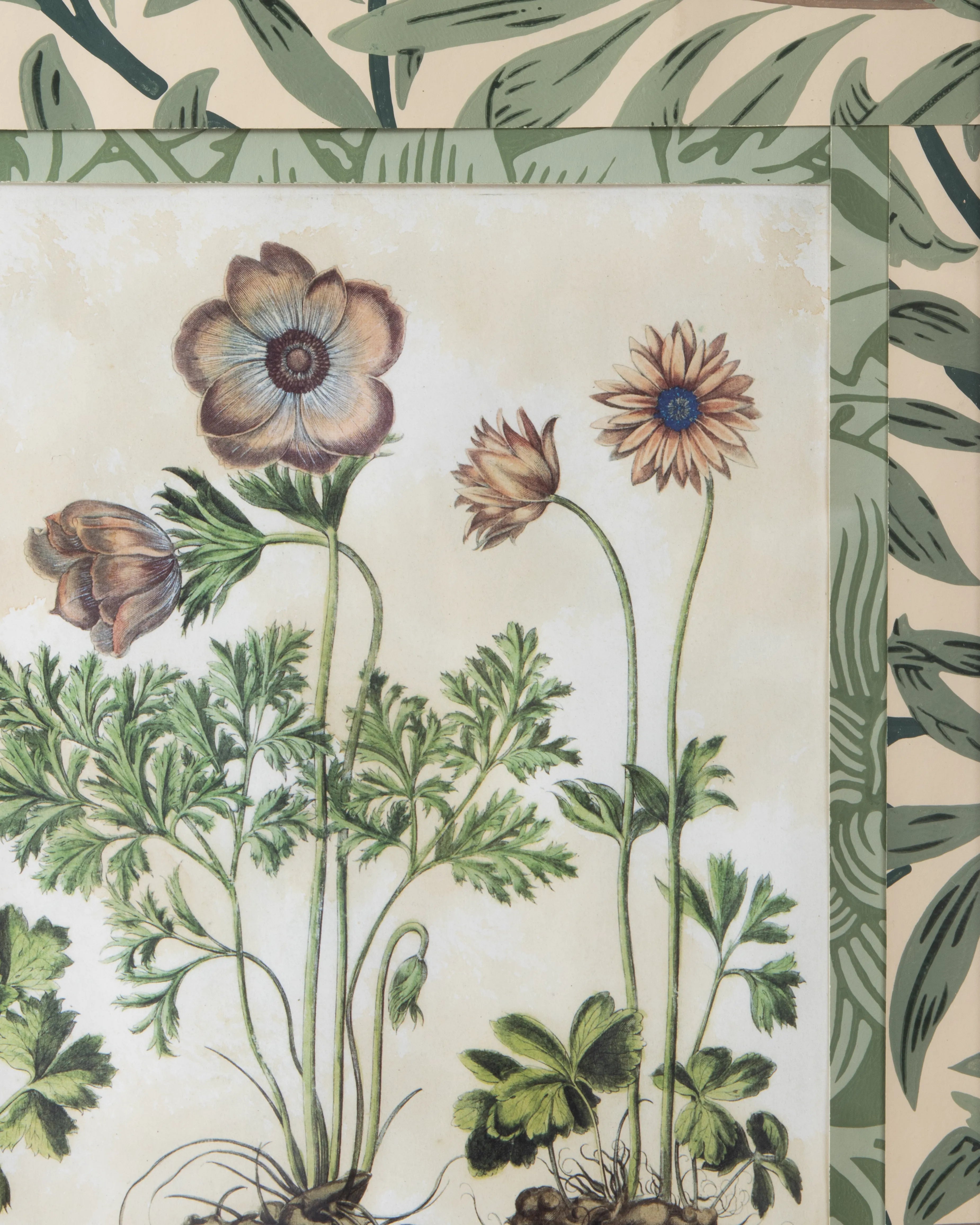 Hand-Aged Besler Anemone Print in Fully Wrapped William Morris Frame