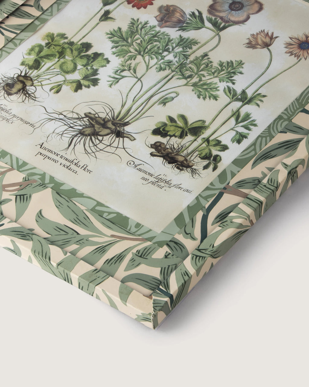 Hand-Aged Besler Anemone Print in Fully Wrapped William Morris Frame