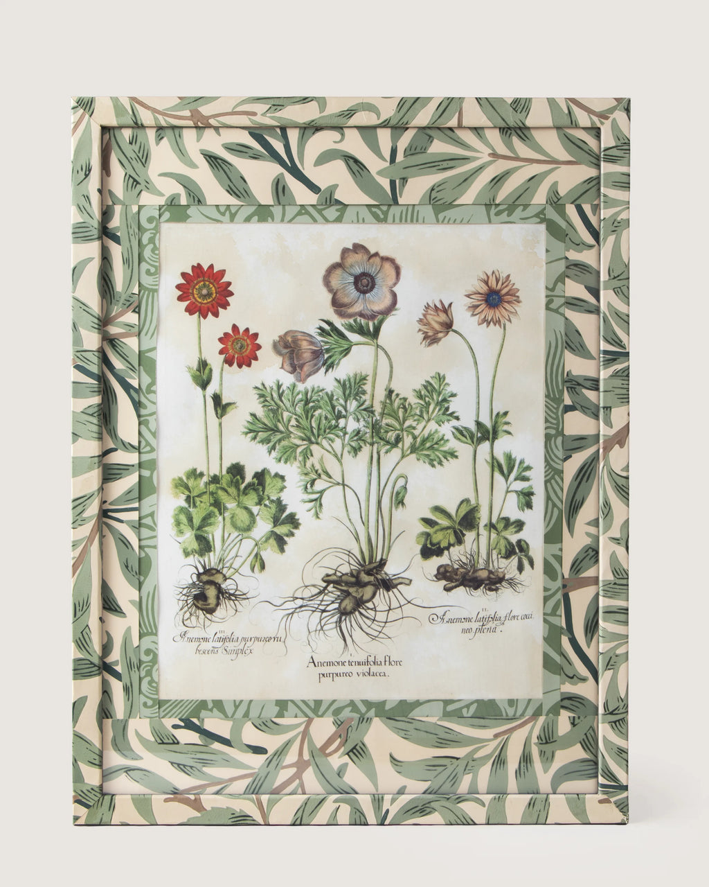 Framed botanical illustration of Anemone plants from Besler's 1613 Hortus Eystettensis, encased in a custom frame and passepartout both fully wrapped by hand in green William Morris foliage wallpaper.