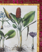 Hand-Aged Besler Arum & Hyacinth Print in Fully Wrapped William Morris Custom Frame