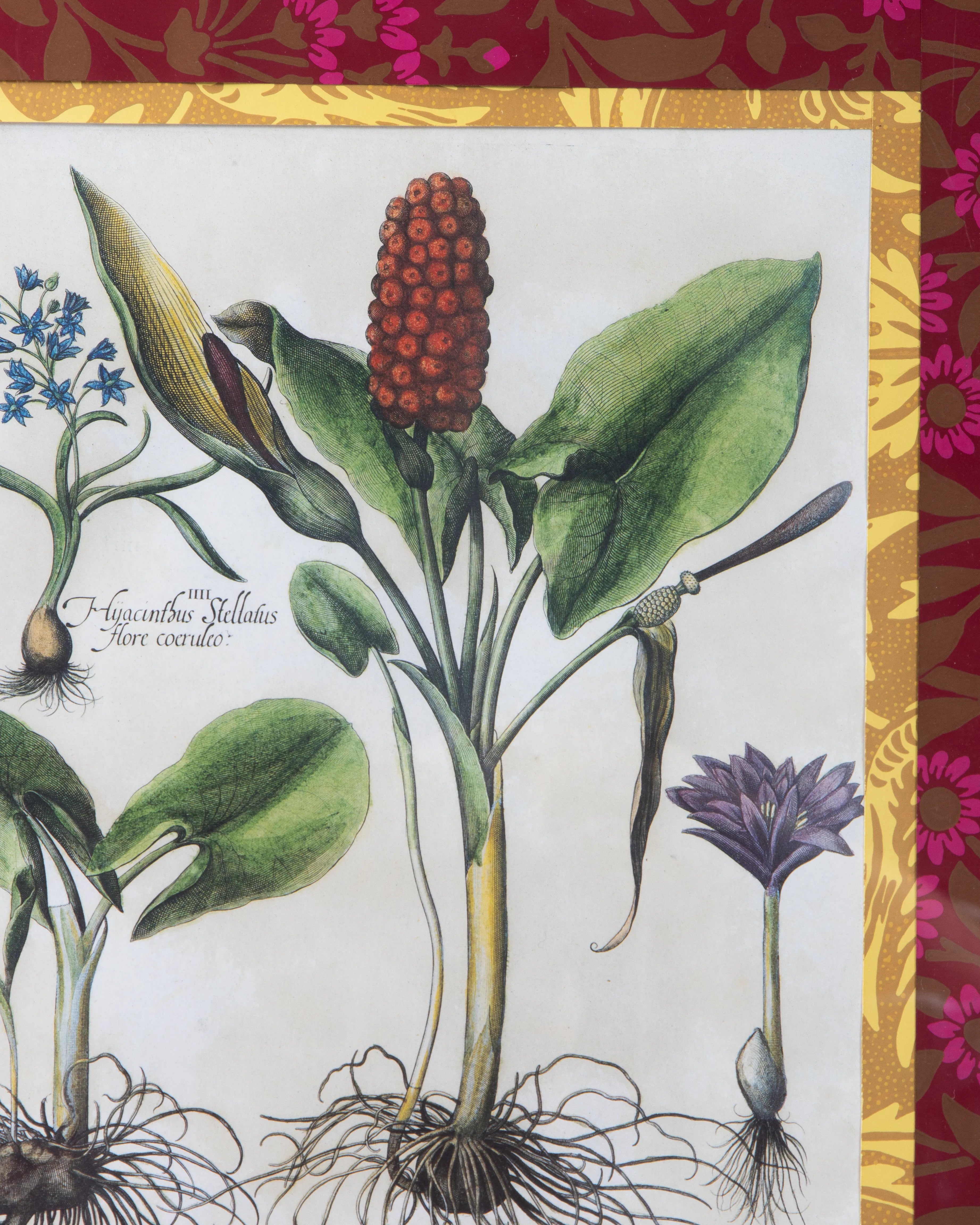Hand-Aged Besler Arum & Hyacinth Print in Fully Wrapped William Morris Custom Frame