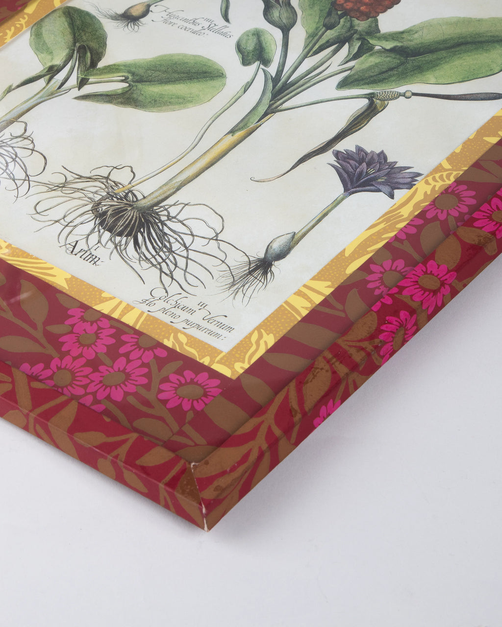 Hand-Aged Besler Arum & Hyacinth Print in Fully Wrapped William Morris Custom Frame