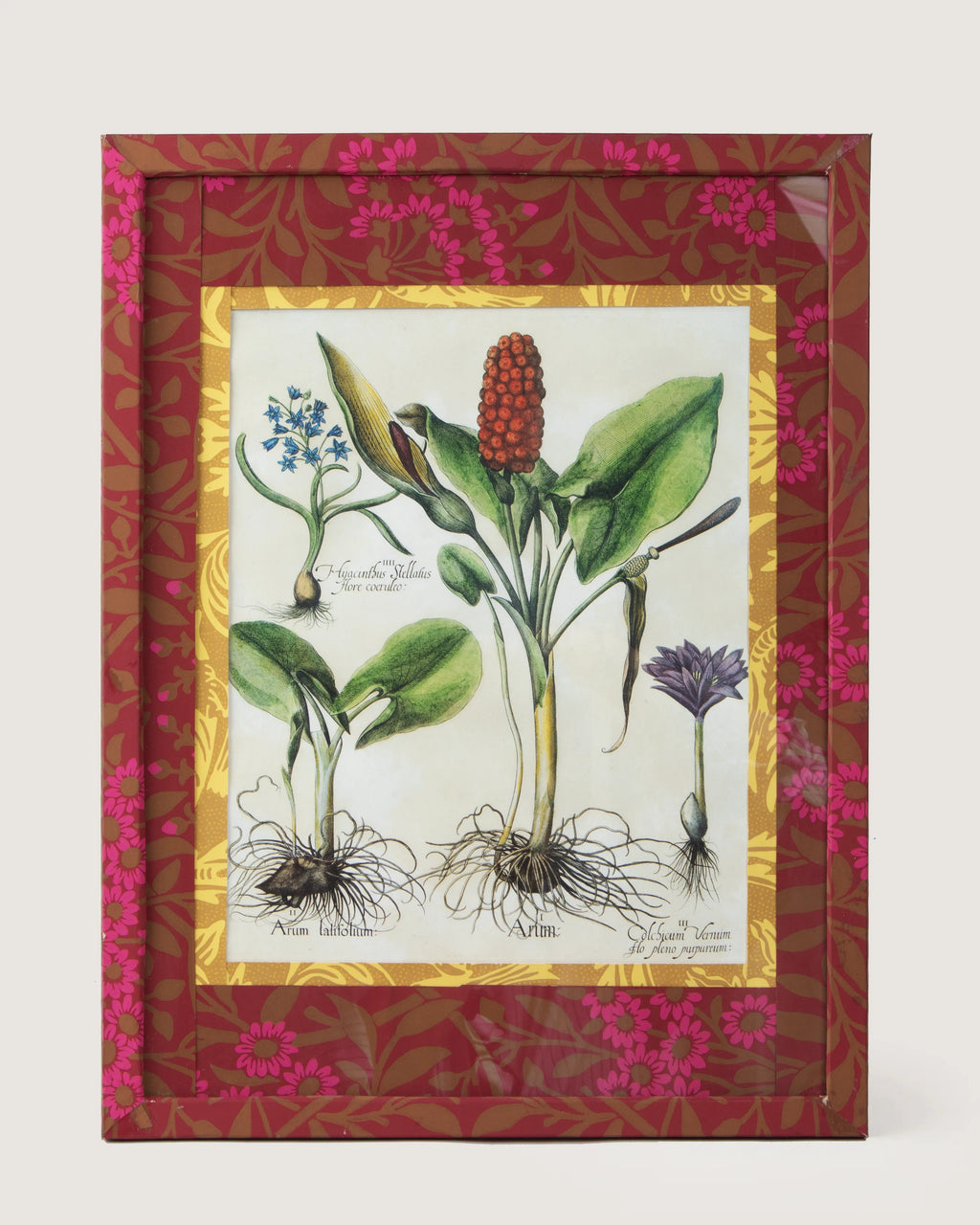 Framed spring botanical illustration of Arum and Hyacinth plants from Basilius Besler's 1613 Hortus Eystettensis, encased in a custom frame and passepartout both fully wrapped by hand in patterned William Morris wallpaper.