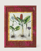 Framed spring botanical illustration of Arum and Hyacinth plants from Basilius Besler's 1613 Hortus Eystettensis, encased in a custom frame and passepartout both fully wrapped by hand in patterned William Morris wallpaper.
