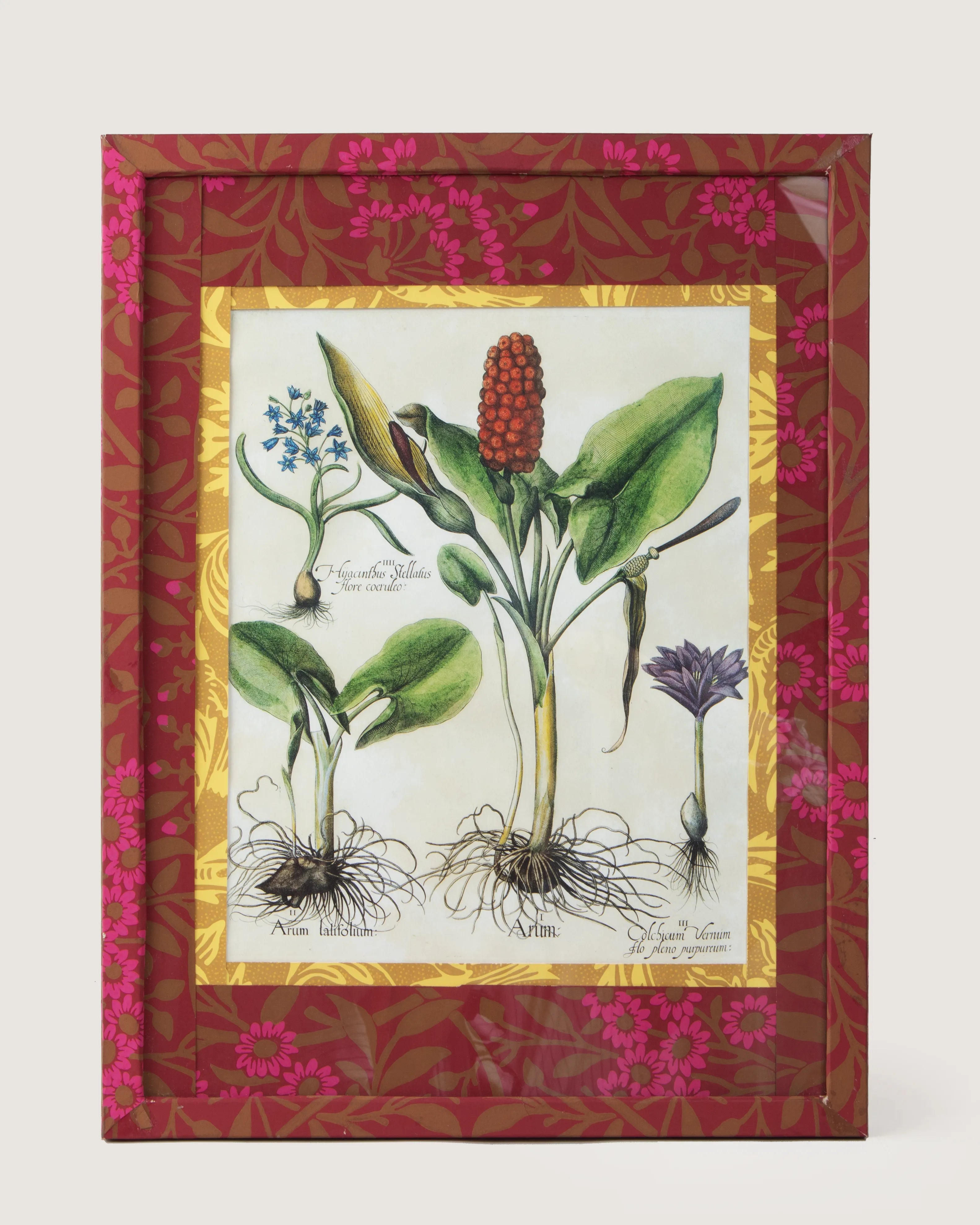 Framed spring botanical illustration of Arum and Hyacinth plants from Basilius Besler's 1613 Hortus Eystettensis, encased in a custom frame and passepartout both fully wrapped by hand in patterned William Morris wallpaper.