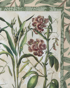 Hand-Aged Besler Coix & Lathyrus Print in Fully Wrapped William Morris Frame