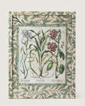 Discover a decorative Coix & Lathyrus botanical print from Besler's Hortus Eystettensis (1613), hand-aged in a frame fully wrapped in William Morris paper.