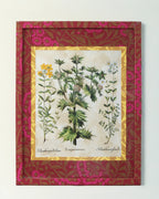 Framed botanical illustration of Eryngium and Helianthemum plants from Basilius Besler's 1613 Hortus Eystettensis, encased in a custom frame and passepartout both fully wrapped by hand in patterned William Morris wallpaper.