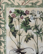 Hand-Aged Besler Geranium Print in Fully Wrapped William Morris Frame