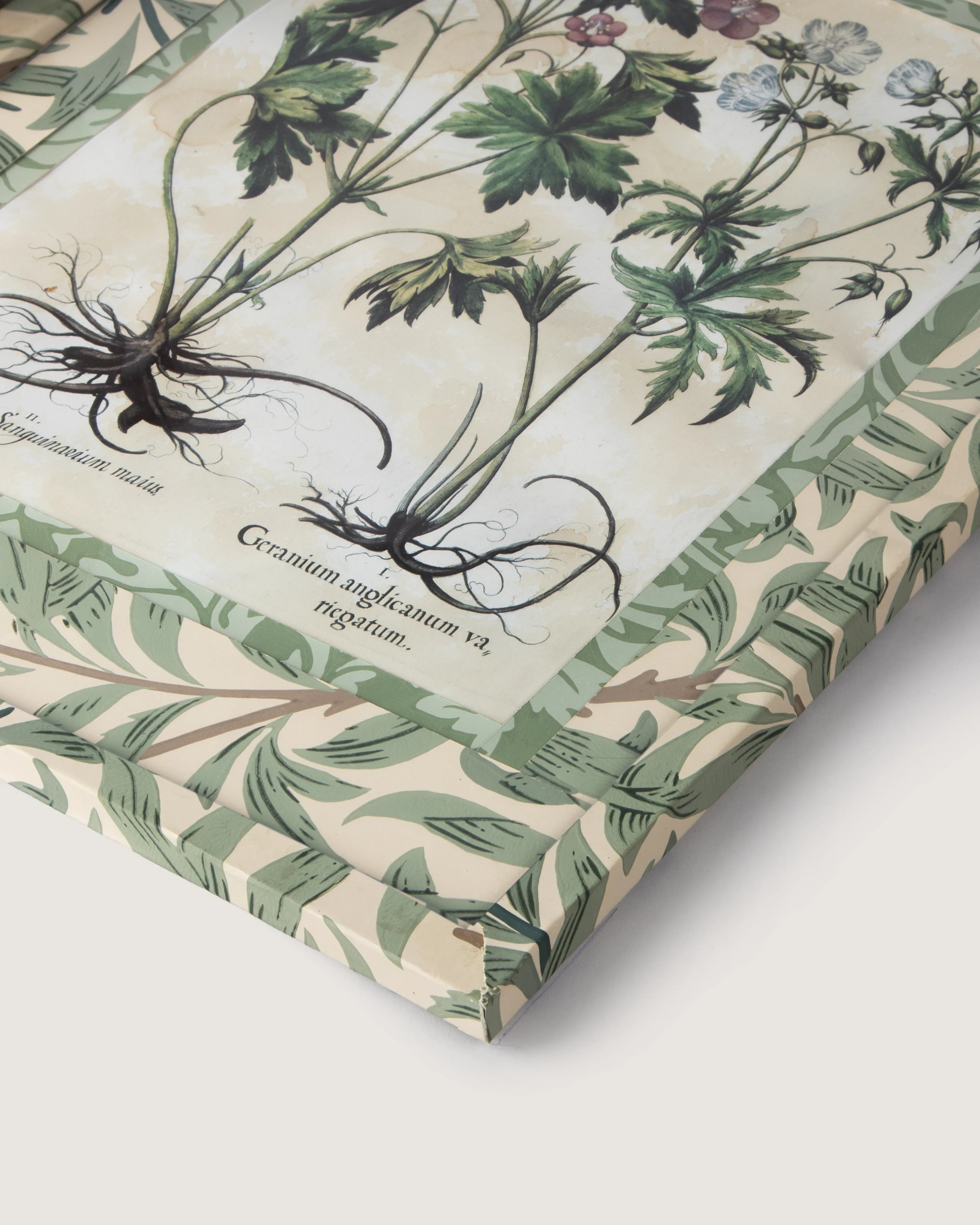 Hand-Aged Besler Geranium Print in Fully Wrapped William Morris Frame