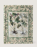 Framed botanical illustration of Geranium plants from Besler's 1613 Hortus Eystettensis, encased in a custom frame and passepartout both fully wrapped by hand in green William Morris foliage wallpaper.
