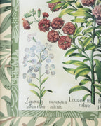 Hand-Aged Besler Leucoium Print in Fully Wrapped William Morris Frame
