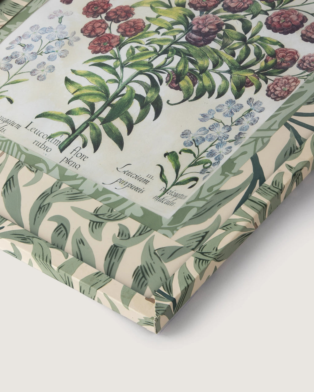 Hand-Aged Besler Leucoium Print in Fully Wrapped William Morris Frame