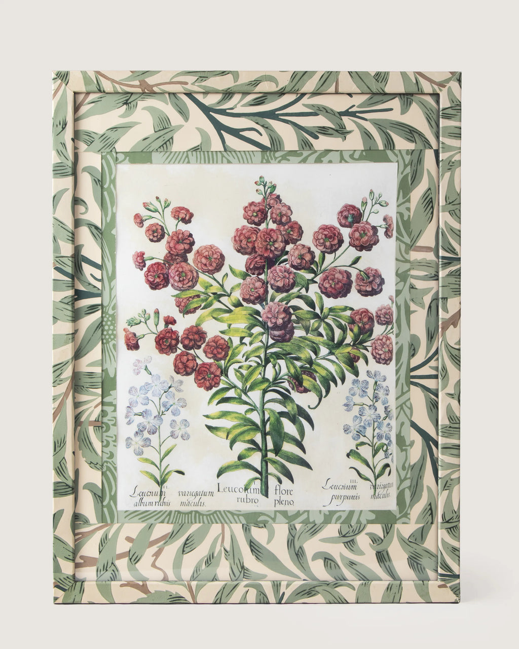 Framed botanical illustration of Leucoium Matthiola plants from Besler's 1613 Hortus Eystettensis, encased in a custom frame and passepartout both fully wrapped by hand in green William Morris foliage wallpaper.