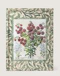 Framed botanical illustration of Leucoium Matthiola plants from Besler's 1613 Hortus Eystettensis, encased in a custom frame and passepartout both fully wrapped by hand in green William Morris foliage wallpaper.