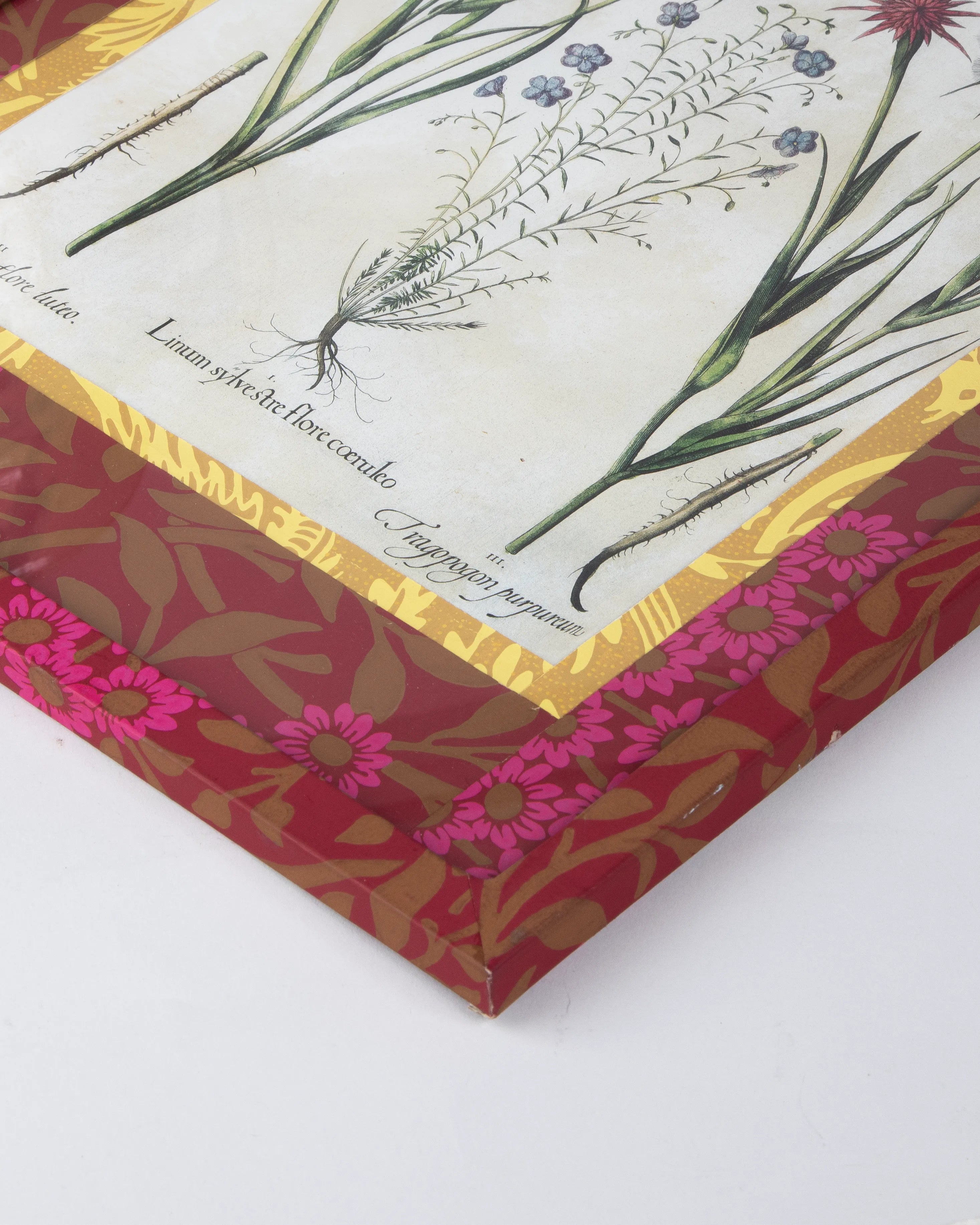 Hand-Aged Besler Linum & Tragopogon Print in Fully Wrapped Custom Frame
