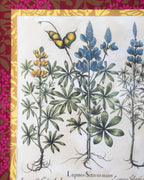 Hand-Aged Lupinus Botanical Print in Fully Wrapped William Morris Custom Frame