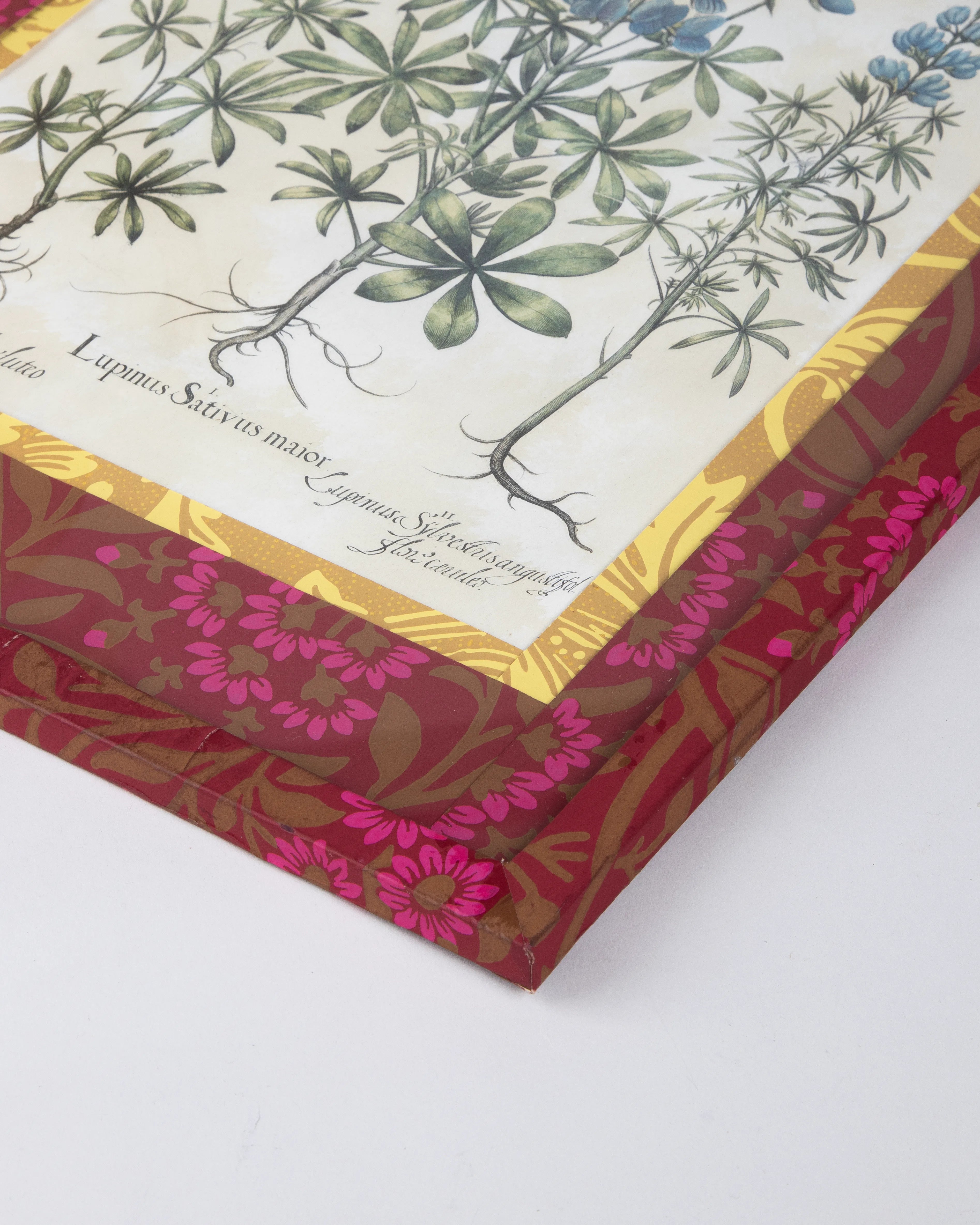 Hand-Aged Lupinus Botanical Print in Fully Wrapped William Morris Custom Frame