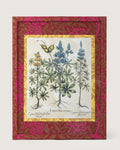 Framed botanical illustration of Lupinus plants from Basilius Besler's 1613 Hortus Eystettensis, encased in a custom frame and passepartout both fully wrapped by hand in patterned William Morris wallpaper.