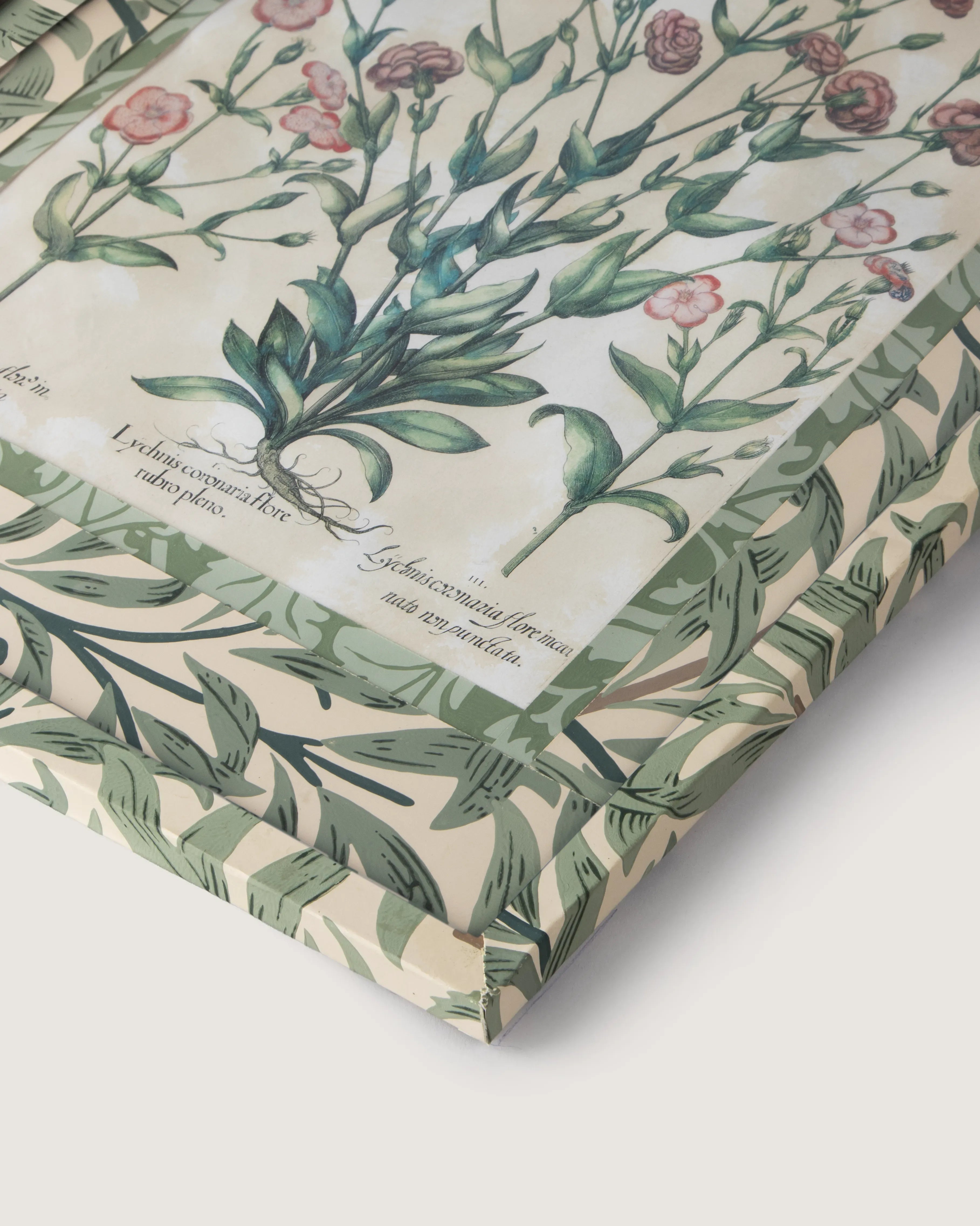 Hand-Aged Besler Lychnis Print in Fully Wrapped William Morris Frame