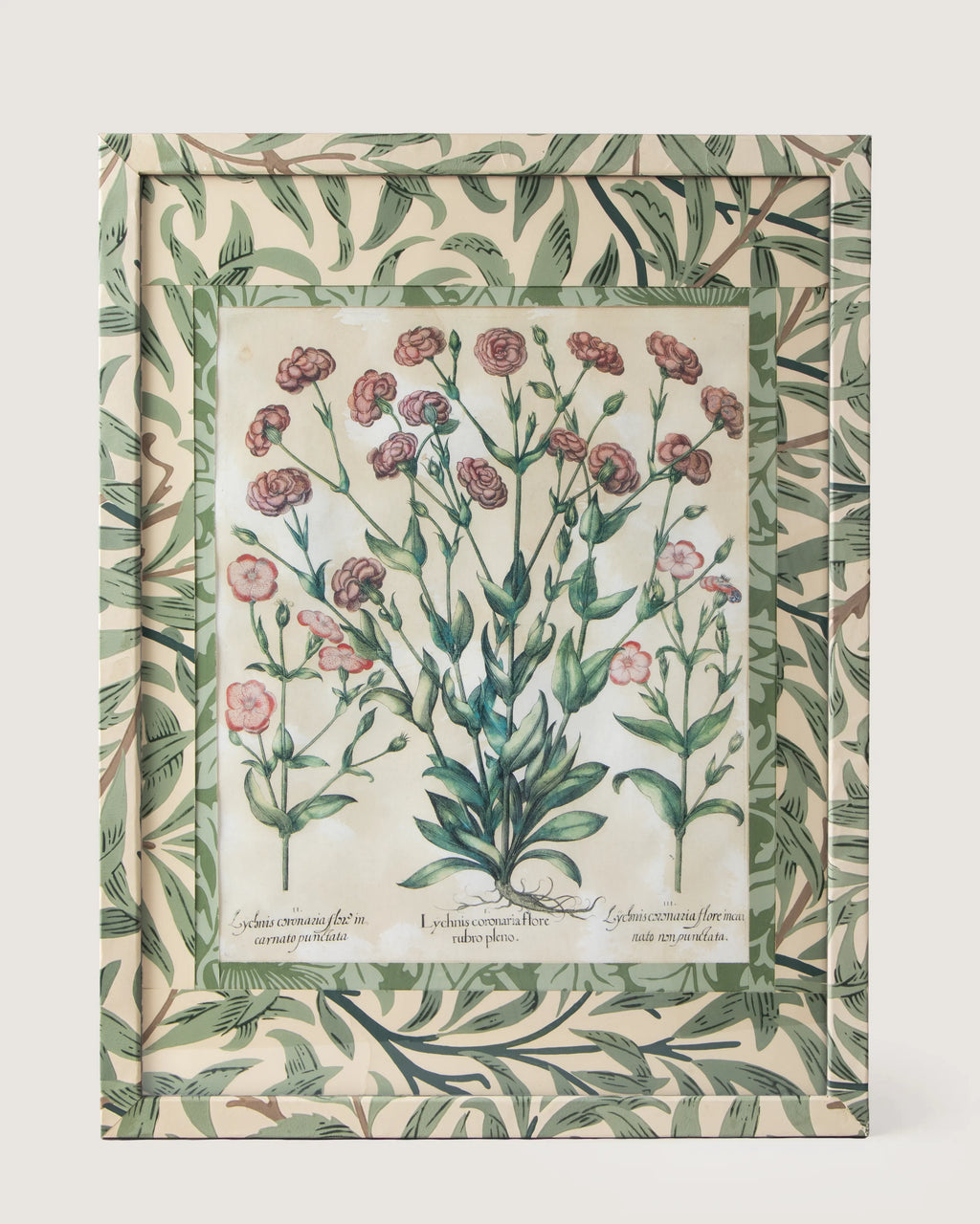 Framed botanical illustration of Lychnis coronaria plants from Besler's 1613 Hortus Eystettensis, encased in a custom frame and passepartout both fully wrapped by hand in green William Morris foliage wallpaper.