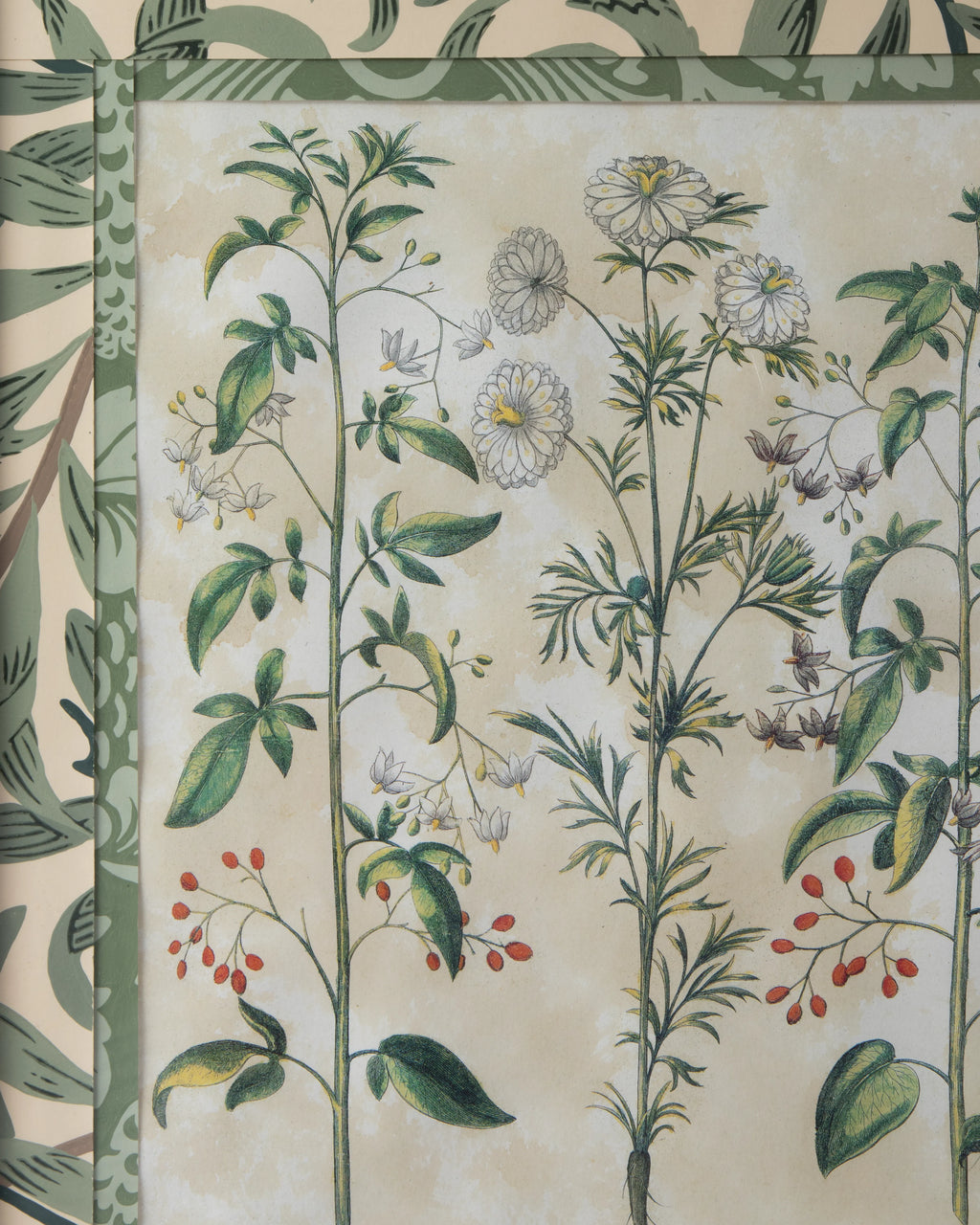 Hand-Aged Besler Nigella & Dulcamara Print in Fully Wrapped William Morris Frame