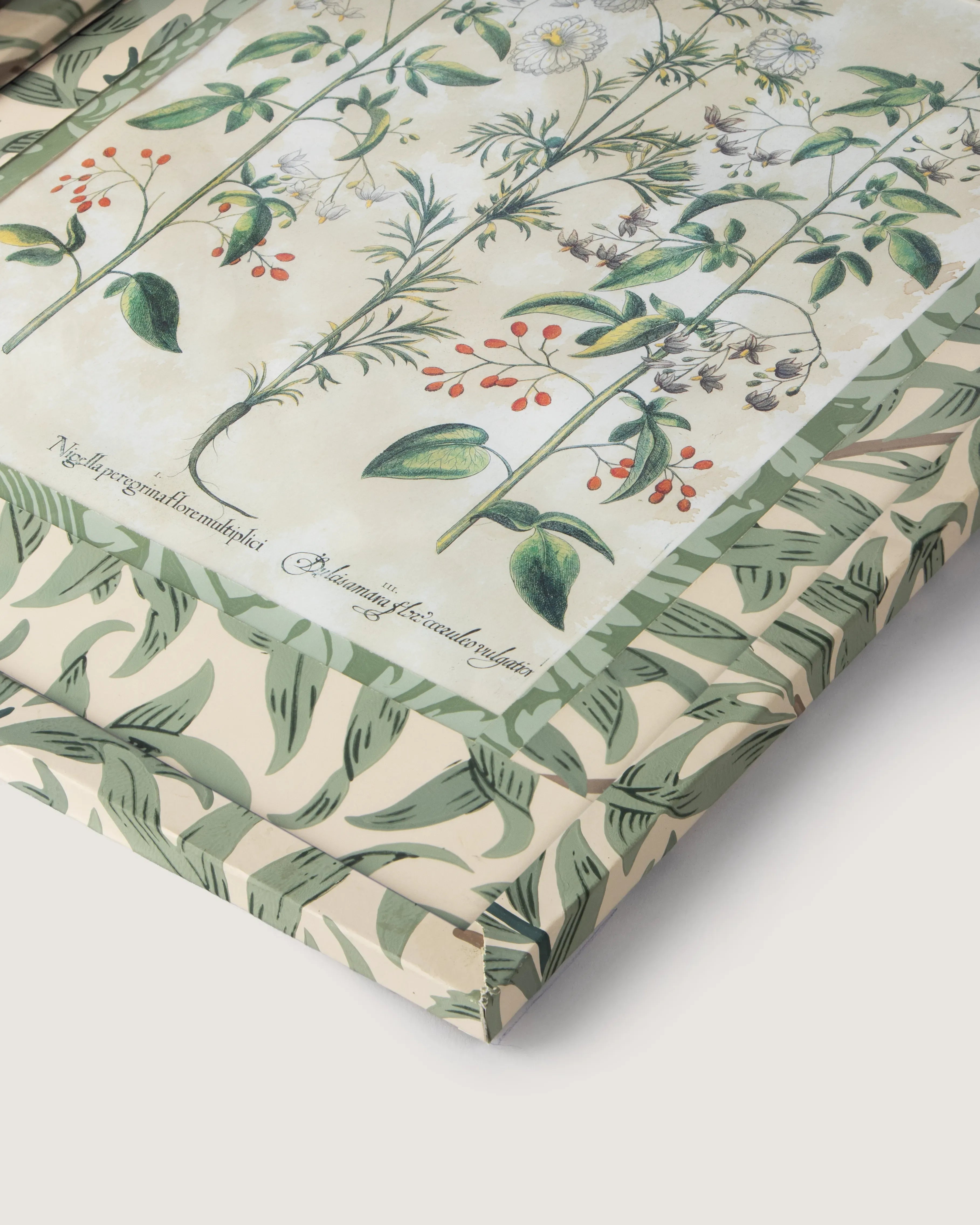 Hand-Aged Besler Nigella & Dulcamara Print in Fully Wrapped William Morris Frame