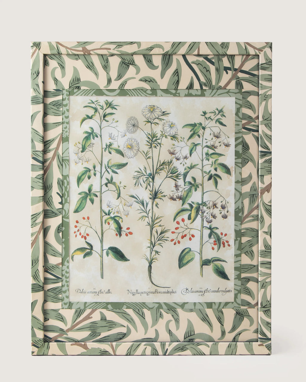 Framed botanical illustration of Nigella and Dulcamara nightshade plants from Besler's 1613 Hortus Eystettensis, encased in a custom frame and passepartout both fully wrapped by hand in green William Morris foliage wallpaper.