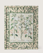 Framed botanical illustration of Nigella and Dulcamara nightshade plants from Besler's 1613 Hortus Eystettensis, encased in a custom frame and passepartout both fully wrapped by hand in green William Morris foliage wallpaper.