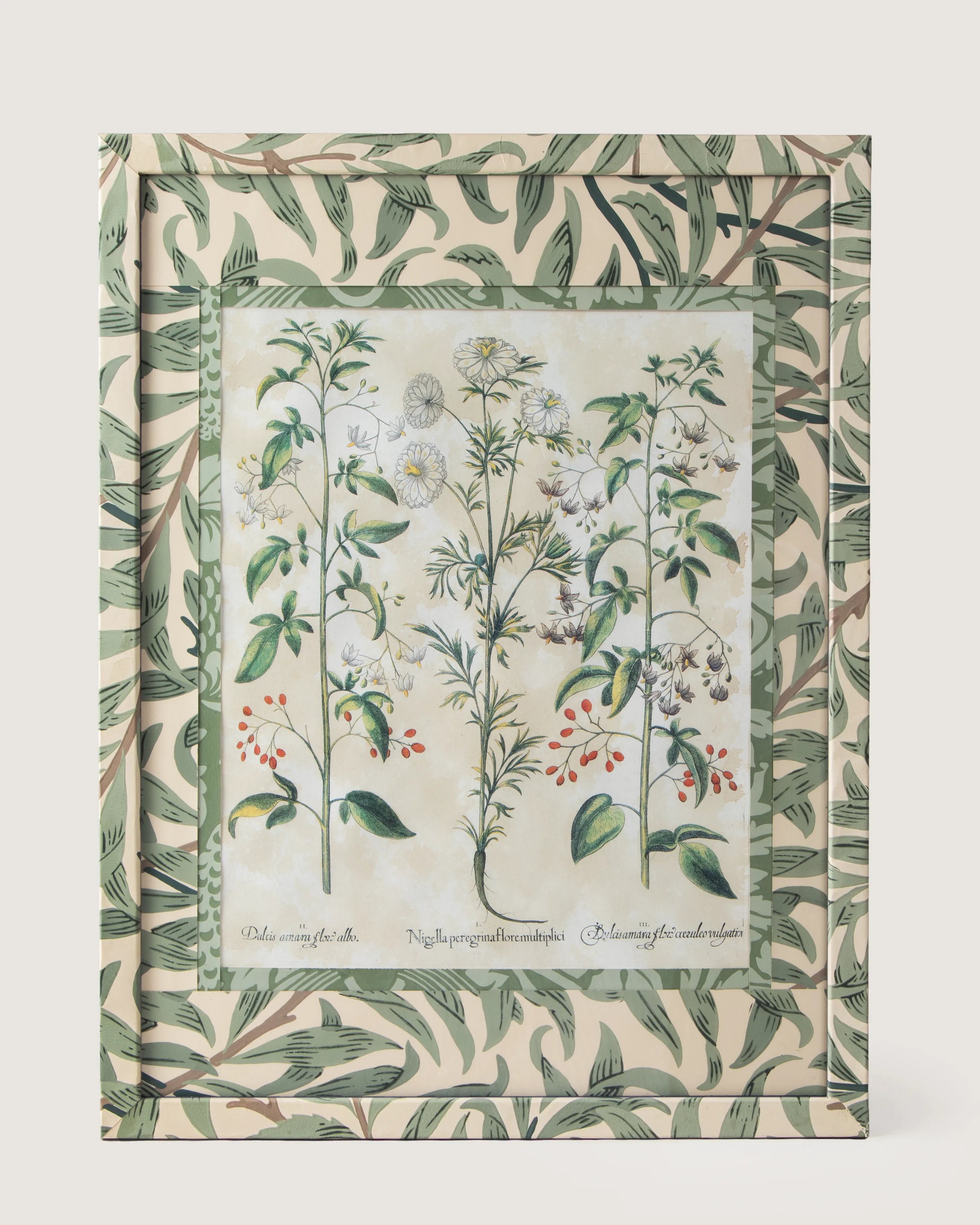 Framed botanical illustration of Nigella and Dulcamara nightshade plants from Besler's 1613 Hortus Eystettensis, encased in a custom frame and passepartout both fully wrapped by hand in green William Morris foliage wallpaper.