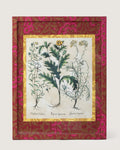 Framed botanical illustration of a Papaver spinosum plant from Besler's 1613 Hortus Eystettensis, inside a gold mount and a frame fully wrapped in bordeaux and fuchsia William Morris wallpaper.