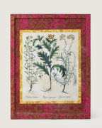 Framed botanical illustration of a Papaver spinosum plant from Besler's 1613 Hortus Eystettensis, inside a gold mount and a frame fully wrapped in bordeaux and fuchsia William Morris wallpaper.