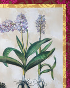 Hand-Aged Besler BotanicalOrchis Latifolia  Print in Fully Fabric-Wrapped William Morris Frame