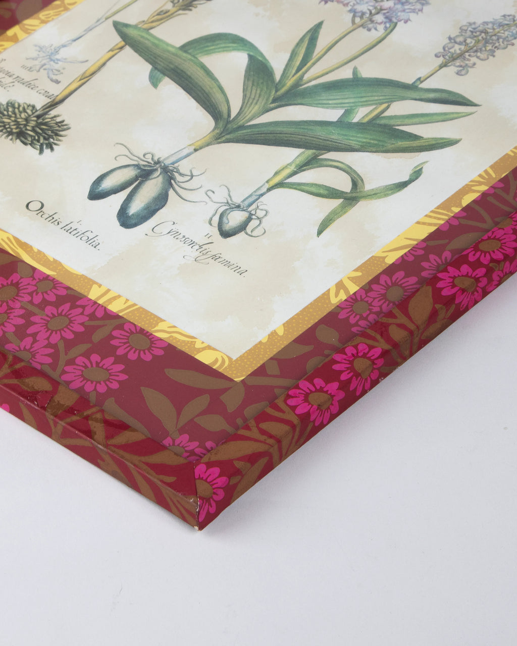 Hand-Aged Besler BotanicalOrchis Latifolia  Print in Fully Fabric-Wrapped William Morris Frame